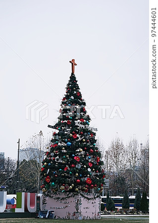 Christmas tree 97444601