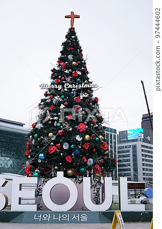 聖誕樹 聖誕樹 97444602