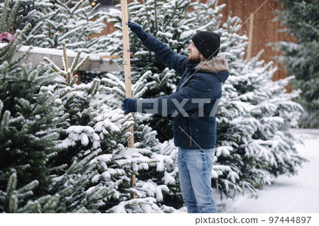 Handsome man measuring Christmas tree outdoor. Man choose fir tree for winter holidays Handsome man measuring Christmas tree outdoor. Man choose fir tree for winter holidays 97444897