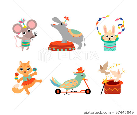 Circus Animal Performing Trick Riding Scooter, Juggling Balls and Playing Drum Vector Set 97445049