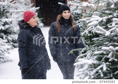 Portrait of mom and daughter choose fir tree for Christmas holidays 97445093