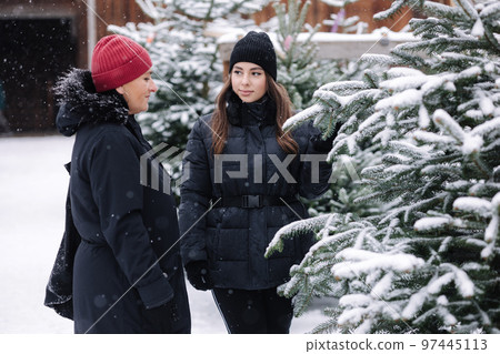 Portrait of mom and daughter choose fir tree for Christmas holidays 97445113