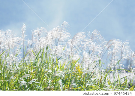 Aozora and Suzuki 97445454