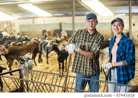 Couple of farmers standing with tools in goat shed 97445916
