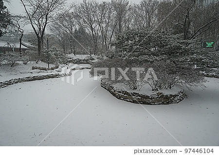 雪天的德壽宮風光 雪天的德壽宮風光 97446104