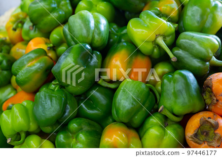 Screensaver with green pepper Screensaver with green pepper 97446177