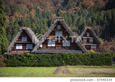 Shirakawa Village, Gifu Prefecture Autumn scenery of Shirakawago 97446544
