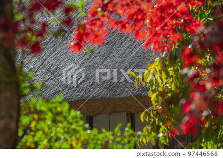 Shirakawa Village, Gifu Prefecture Autumn scenery of Shirakawago Shirakawa Village, Gifu Prefecture Autumn scenery of Shirakawago 97446568