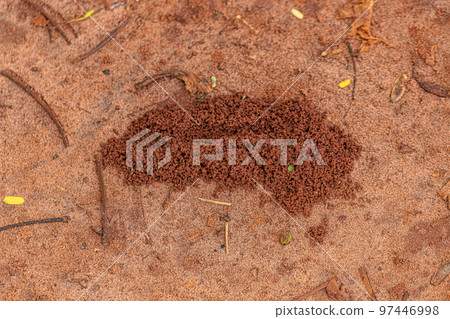 Small grained anthill entrance 97446998
