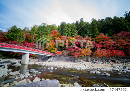 Asuke-cho, Toyota City, Aichi Prefecture Autumn Korankei with colored leaves Asuke-cho, Toyota City, Aichi Prefecture Autumn Korankei with colored leaves 97447262