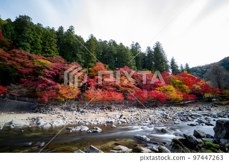 Asuke-cho, Toyota City, Aichi Prefecture Autumn Korankei with colored leaves 97447263