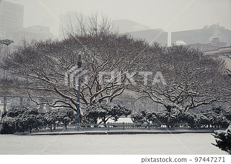 雪天的德壽宮風光 雪天的德壽宮風光 97447271