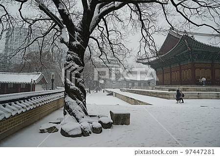 雪天的德壽宮風光 雪天的德壽宮風光 97447281