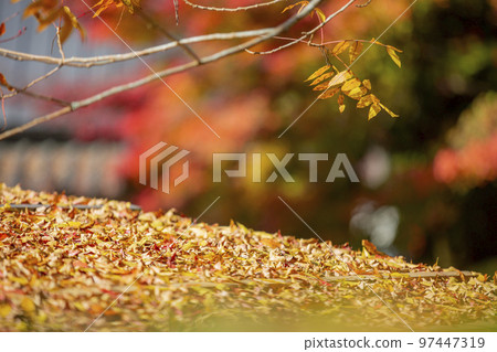 Asuke-cho, Toyota City, Aichi Prefecture Autumn Korankei with colored leaves Asuke-cho, Toyota City, Aichi Prefecture Autumn Korankei with colored leaves 97447319