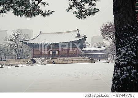 雪天的德壽宮風光 雪天的德壽宮風光 97447795