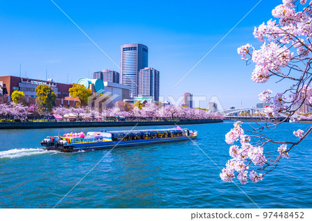 Cherry blossoms and Okawa at Kema Sakuranomiya Park 97448452