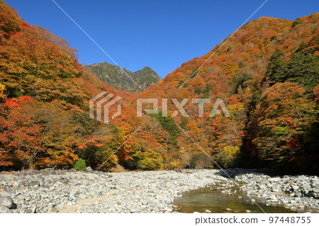 Mitomikawaura, Yamanashi City, Yamanashi Prefecture Autumn foliage surrounding the erosion control dam beside the Futamata Suspension Bridge in the Nishizawa Valley and Mt. Keikan in the background 97448755