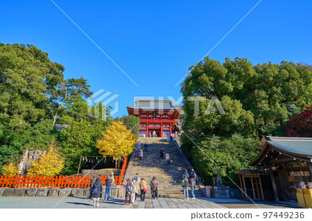 秋天的神奈川縣鎌倉市鶴岡八幡宮（正殿、大石階、銀杏樹） 97449236