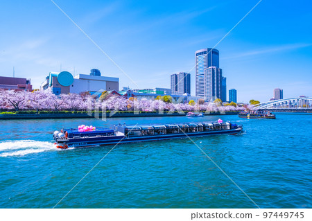 Osaka Okawa cherry blossoms and sightseeing boat Osaka Okawa cherry blossoms and sightseeing boat 97449745