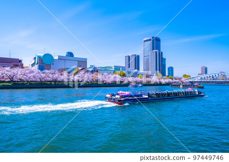 Osaka Okawa cherry blossoms and sightseeing boat 97449746