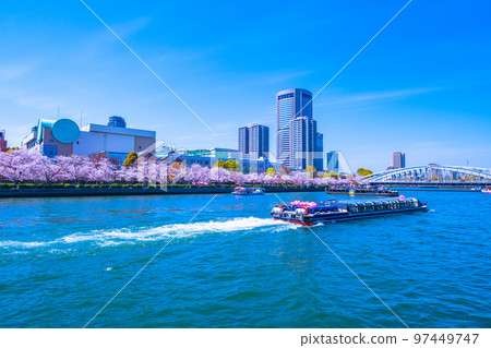 Osaka Okawa cherry blossoms and sightseeing boat 97449747