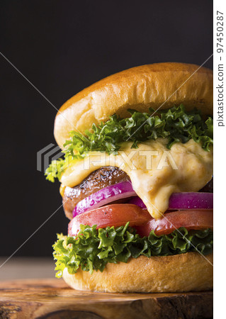 Hamburger  97450287