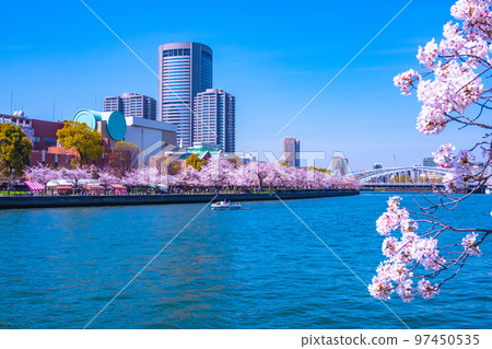 Okawa Cherry Blossoms and Osaka Amenity Park Okawa Cherry Blossoms and Osaka Amenity Park 97450535