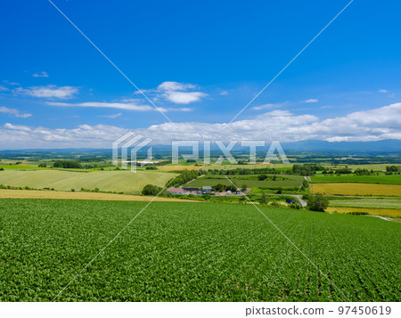 Hokkaido Biei _ landscape of fresh green hills 97450619