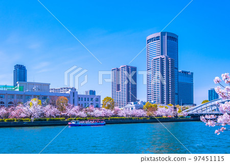 毛馬櫻之宮公園的櫻花和大川 毛馬櫻之宮公園的櫻花和大川 97451115