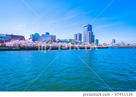 毛馬櫻之宮公園的櫻花和大川 毛馬櫻之宮公園的櫻花和大川 97451116