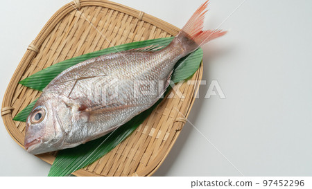 Natural sea bream (raw) Natural sea bream (raw) 97452296