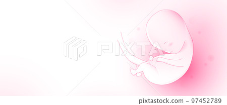 Human embryo. The fetus inside the womb. Vector illustration 97452789
