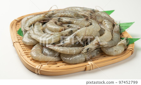 fresh grass shrimp fresh grass shrimp 97452799
