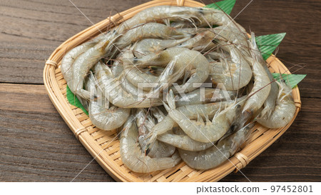 fresh grass shrimp 97452801