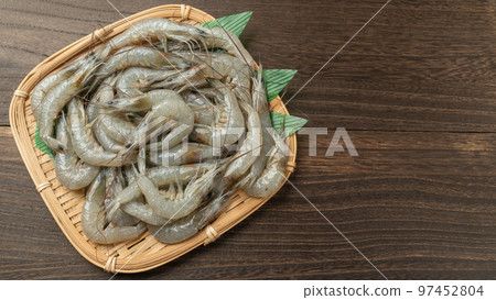 fresh grass shrimp 97452804