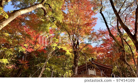 Autumn Leaves and Taishido (Korankei/Asuke Town, Toyota City, Aichi Prefecture) 97454109