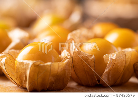 Close up of cape gooseberry or golden berry (Physalis peruviana) Close up of cape gooseberry or golden berry (Physalis peruviana) 97456579