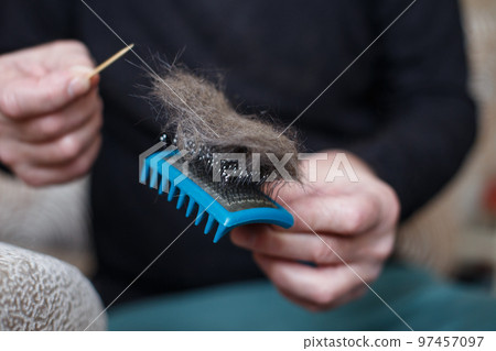 A man's hand holding the cat comb brush with gray fur and cleaning it A man's hand holding the cat comb brush with gray fur and cleaning it 97457097