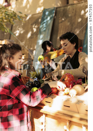 Friendly woman vendor selling fresh organic apples to female client and standing behind farm produce stand. Local farmer showing fruit and vegetable to customer, natural nutrition. 97457593