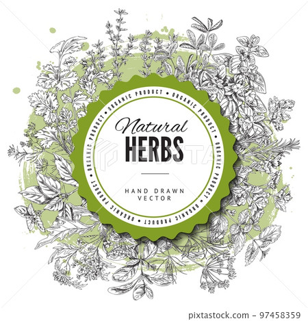 Round decorative frame with hand drawn herbs sketch style 97458359