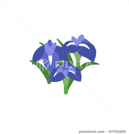 Kakitsubata simple Kakitsubata simple 97458906