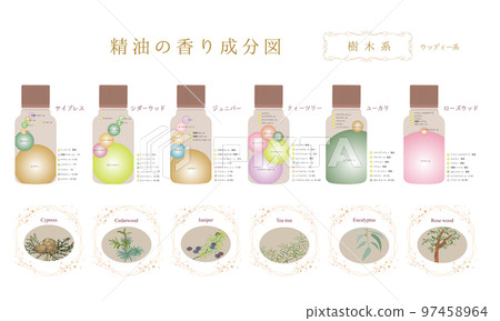 樹本成分錶/成分圖/木香/絲柏/茶樹/桉樹/雪松 97458964