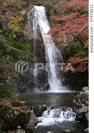 Autumnal leaves and Minoo waterfall 97459015