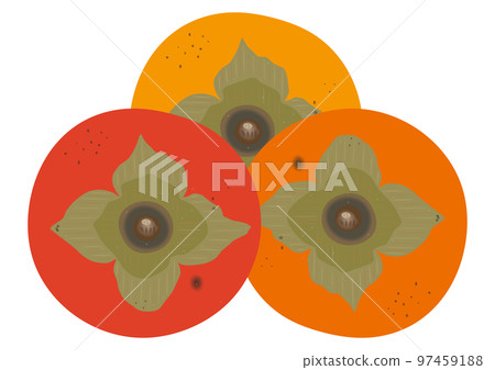 "Ripe Fuyu persimmon" 3 types "Ripe Fuyu persimmon" 3 types 97459188