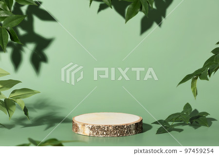 Wood slice podium on green background for cosmetic product mockup Wood slice podium on green background for cosmetic product mockup 97459254