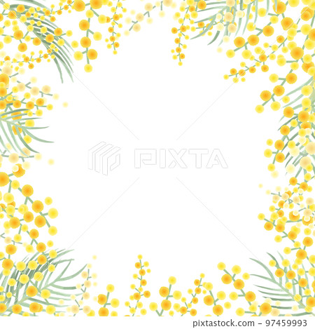 含羞草矢量插圖框架背景 97459993