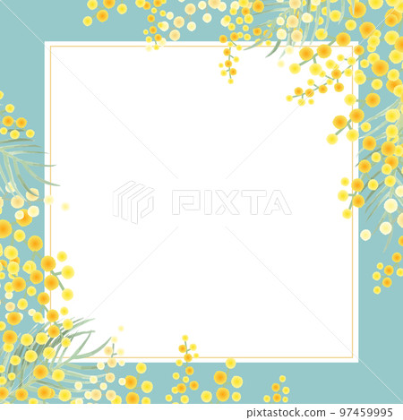 Mimosa vector illustration frame background 97459995