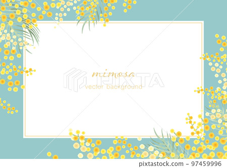 含羞草矢量插圖框架背景 97459996