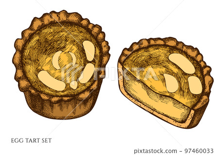 Asian food hand drawn vector illustrations collection. Colored egg tart. Asian food hand drawn vector illustrations collection. Colored egg tart. 97460033