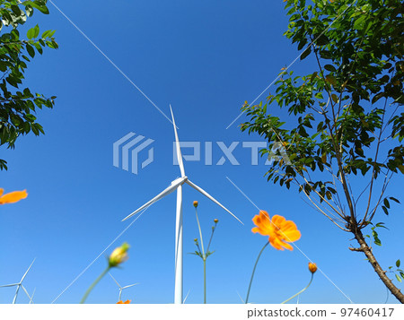 single nice windmill farm on a beautiful bright day in Khao Kho, Phetchabun 97460417